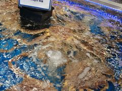 -盒马X会员店(上海森兰商都店)