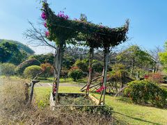 -东莞植物园