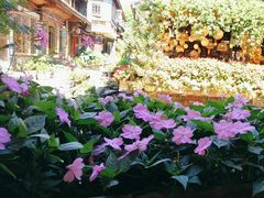 -民食香·腊排骨野生菌美食(木府店)