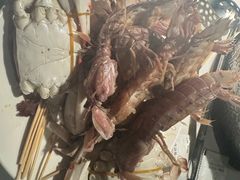 -加餐海鲜自助(宝龙一城店)