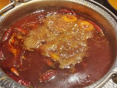 -牛New寿喜烧(虹桥新天地店)