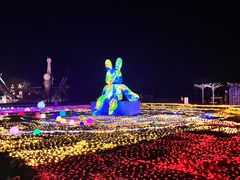 -祥源·阜阳生态乐园