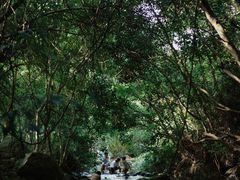 -马峦山郊野公园