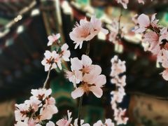 -颐和园