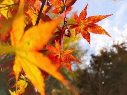 -Oasis Beauty水磨坊科技美肤中心