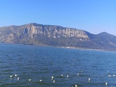 -五甲塘生态湿地公园