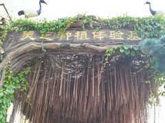 -长廊欢乐园