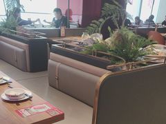 -老板恋上鱼(恒隆广场店)