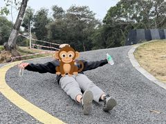 -黄埔油麻山森林公园