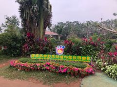 -海南热带野生动植物园