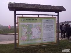 -上海都市菜园