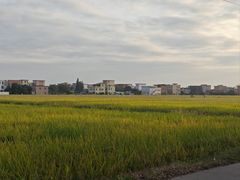 -低涌(地铁站)