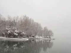 -天鹅湖体育公园