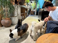 -自由生长植物工作室(深港花卉中心店)