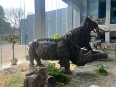 -中国第四纪冰川遗迹陈列馆