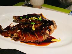 -桂满陇天书(南京德基旗舰店)