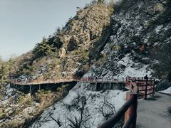 -老君山风景名胜区