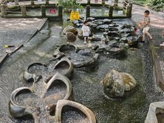 -成都市活水公园
