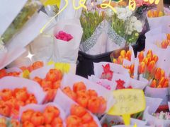 -循礼门鲜花花市(武汉循礼门店)