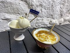 -古树酸奶(八廓南街店)