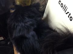 iphone_upload_pic-A+摄影