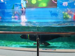 -聊城海底世界