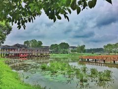 -洪湖生态旅游区