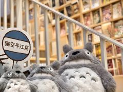 -猫的天空之城概念书店(苏州平江店)