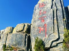 -铜川市金锁关石林