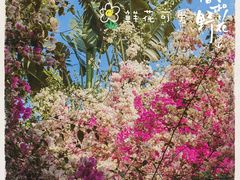 -深圳国际园林花卉博览园