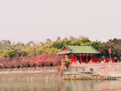 -望江楼公园