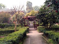 -峨眉山报国寺