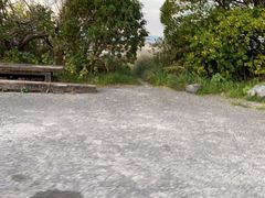 -Kaikoura Seafood BBQ Kiosk