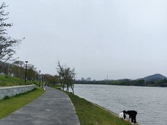 -羊山湖公园