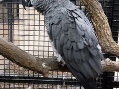 -山东省科技馆(新馆)