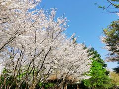 -白塘生态植物园
