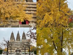-北京石刻艺术博物馆(五塔寺)