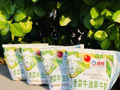 -天津海河华北乳品有限公司