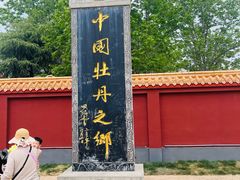 -曹州牡丹园