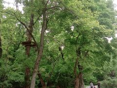 -WeLope紫金山探险公园