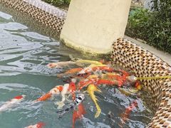-杭州野生动物世界