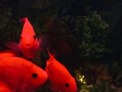 -永兴餐厅(复兴中路店)