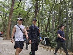 -虞山风景区