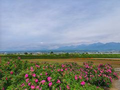 -富田农场
