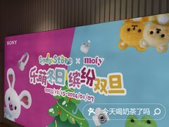 -Sony Store 索尼(上海淮海中路店)