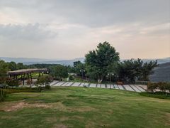 -铁山坪森林公园