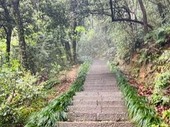 -杭州半山国家森林公园