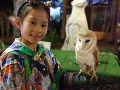 -清迈夜间动物园