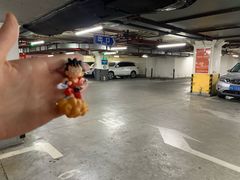 -中山公园-龙之梦停车场