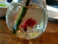 -臻味私厨(国际社区店)